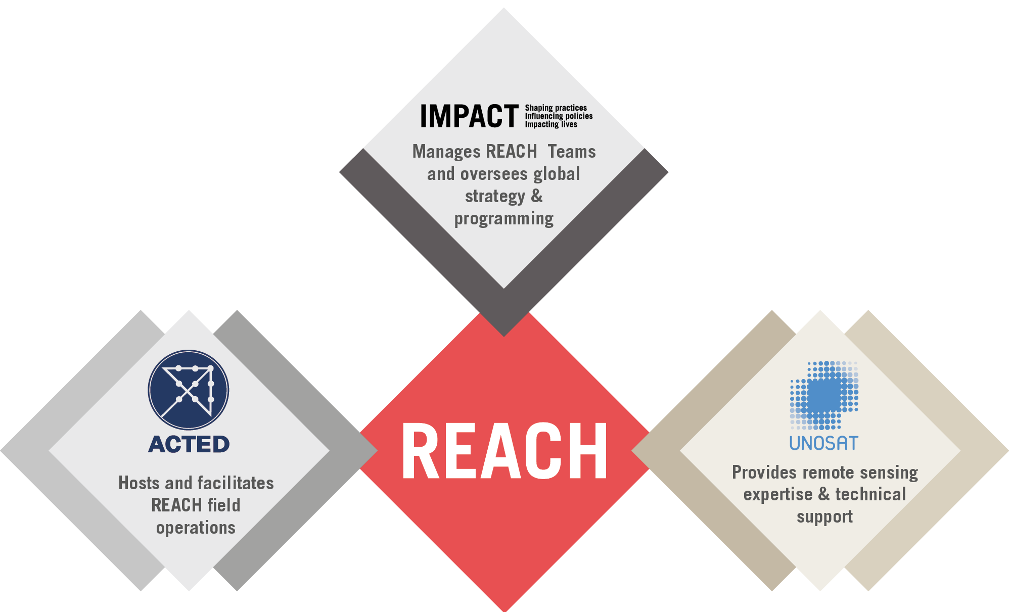 REACH Initiative